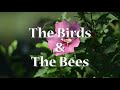 The Birds and the Bees