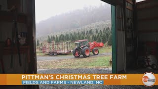 Fields U0026 Farms David Pittman Christmas Trees