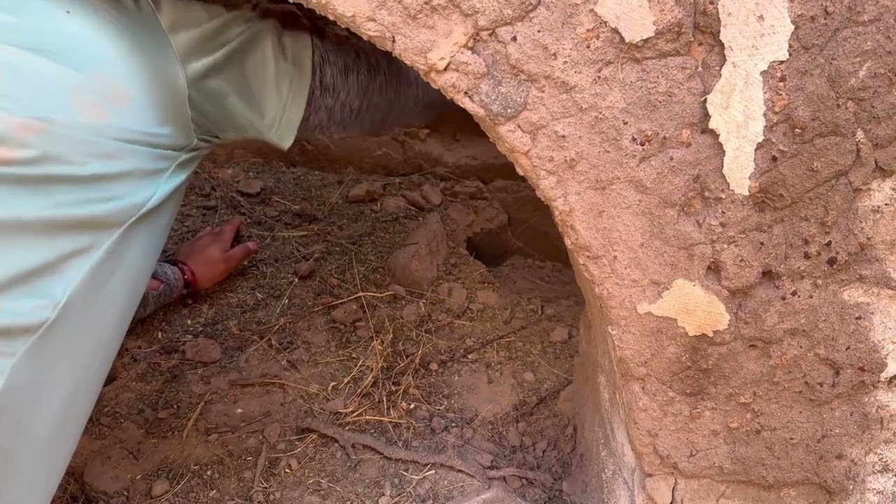 Encontramos tesoro escondido y era ORO