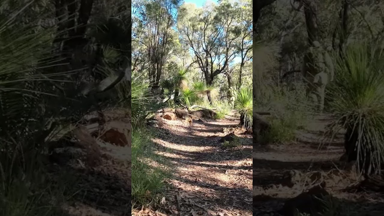 Western Australia Winter Walk 3  