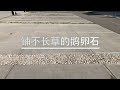 怎么铺鹅卵石不长草 加拿大埃德蒙顿ROY装修DIY 怎么铺鹅卵石不长草 加拿大埃德蒙顿ROY装修DIY