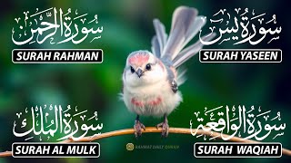 Download Lagu The Best Recitation Surah Yaseen (Yasin) | Surah Rahman | Surah Waqiah | Surah Mulk MP3
