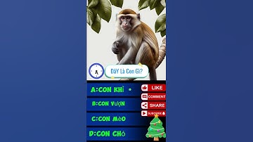 P9 THỬ THÁCH NHÌN ẢNH ĐOÁN TÊN CON VẬT #cartoon #funny #memes #games