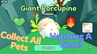 Roblox Collect All Pets | Hatching A Giant Pet!