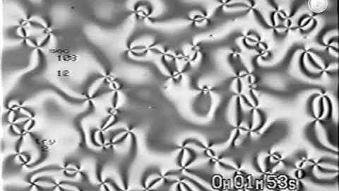 Dynamics of disclinations in a two-dimensionally aligned nematic liquid crystal