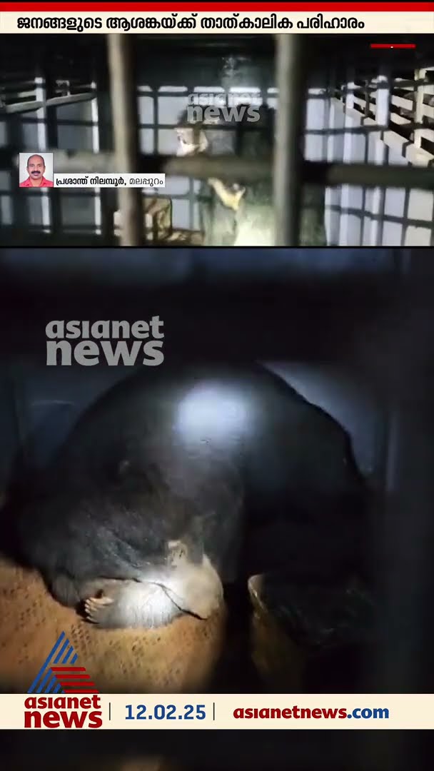 കരടി കൂട്ടിൽ, മലപ്പുറം തേൾപ്പാറ വാസികൾ‌ക്ക് ആശ്വാസം