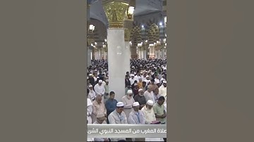 تلاوة سورة الشرح لفضيلة الشّيخ د. عبدالمحسن محمّد القاسِم والشرح صلاة المغرب ٢١ محرم  ١٤٤٥ هـ