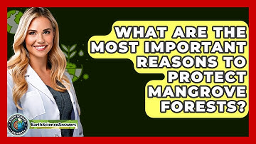 What Are The Most Important Reasons To Protect Mangrove Forests? - Earth Science Answers