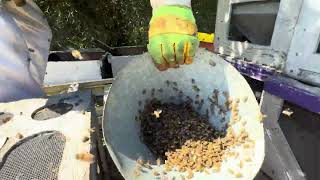 Swarm - Using The Two Funnel Method