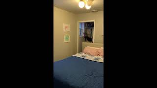 1110 West Wolfram #1 | 2 Bed 1 Bath | Lincoln Park