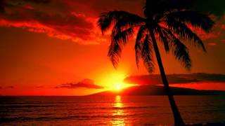TOM KAZAS-ON ENDLESS NIGHTS