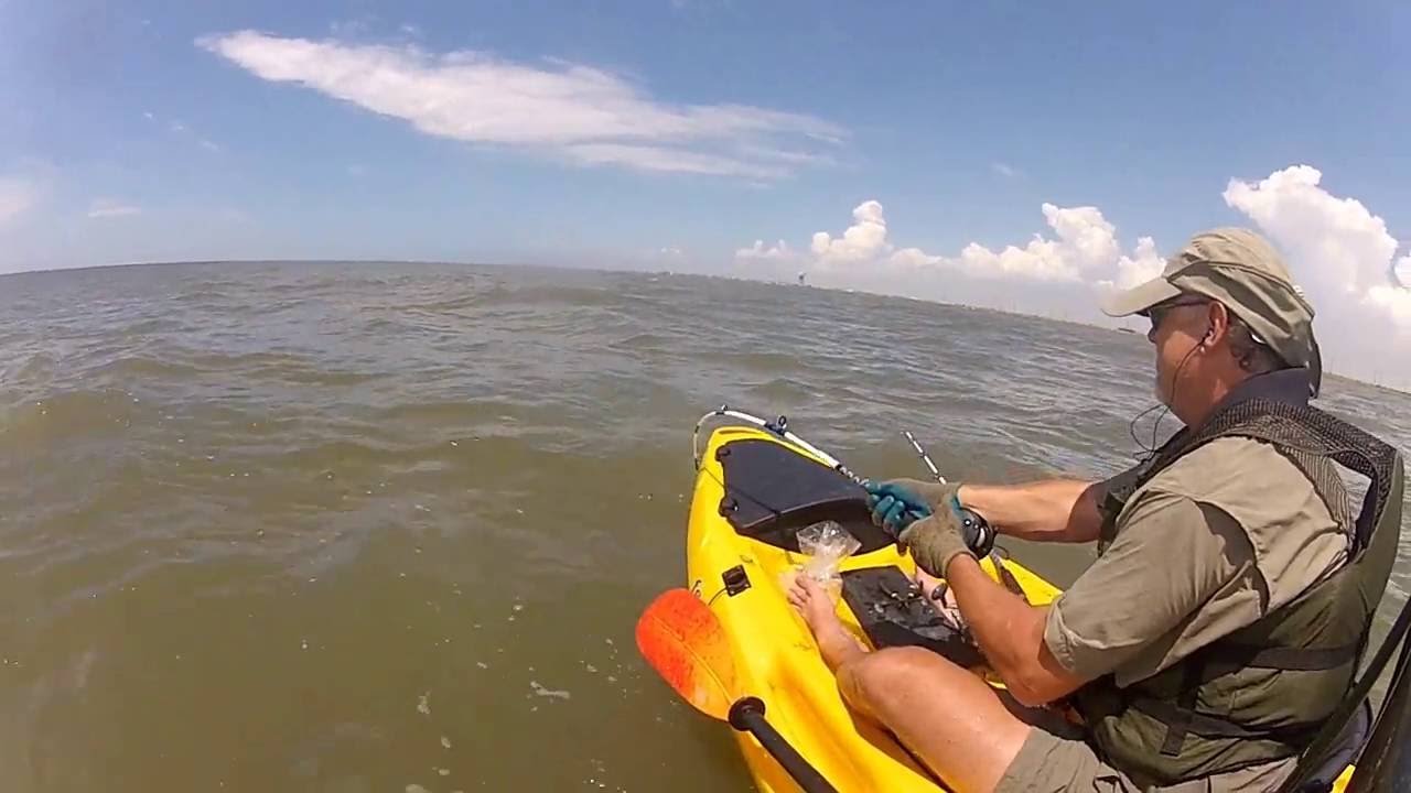 Sharks caught from Kayak YouTube