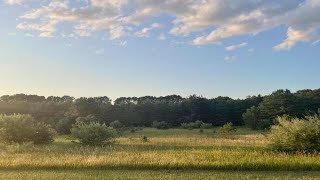 7369 14 Mile Road Ne, Rockford, Mi Presented By Leda Vander Laan.