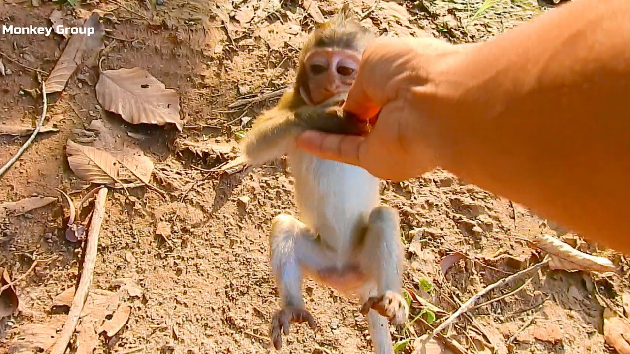 Strong relationship baby girl Alba cling my hand for food, So adorable tiny baby Alba