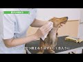 ワンちゃんのための自宅お手入れ動画：①「体拭き」篇/1分18秒/ライオン