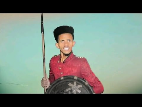 Taammiraat Tolasaa Yaa Marii Koo Best New Oromoo Music 2024