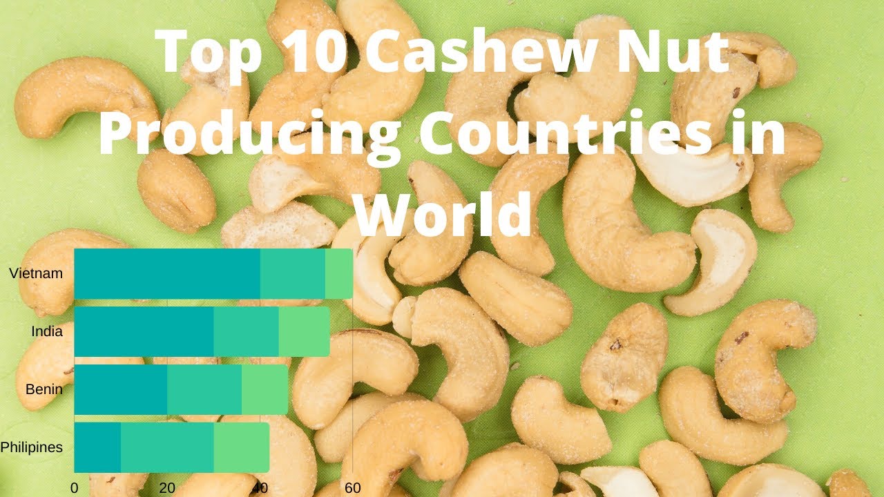 Top 10 Cashew Nut Producing Countries in World | Racing Bar Graph