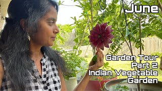Garden Tour Part -2 | Indian Vegetable Garden | Tropical Plants | Sugar Apple | Moringa-మునగ | zone6