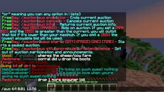 How to use Auction in Minecraft