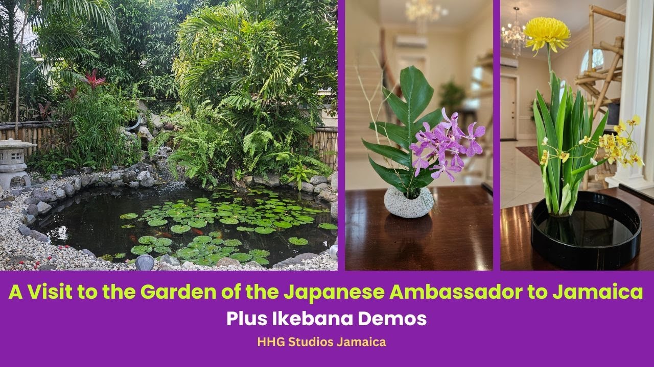 A Visit to the Garden of the Japanese Ambassador to Jamaica Plus Ikebana Demos