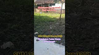 #dijualtanahmurah SHM 220m ld 21m hrg 320Jt di Troketon #pedan #infotanahmurah #klaten24jam #klaten