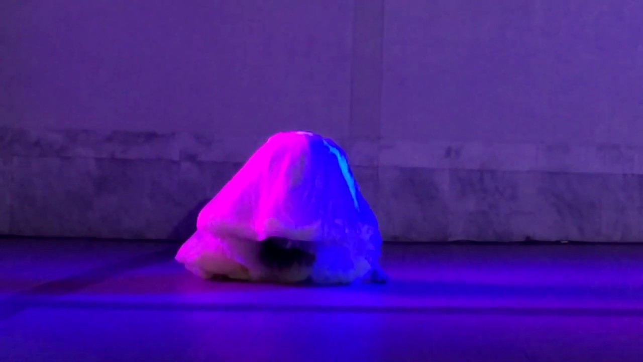 I Sea Project  l ChAnge 2015