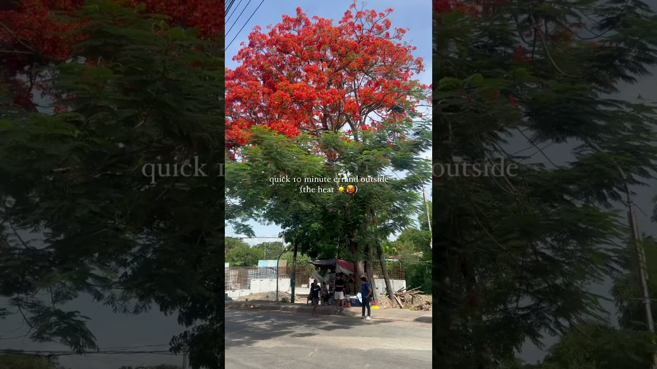 another day - another office day 👩🏻‍💻📝🍵