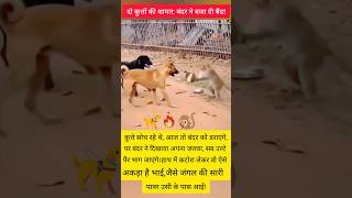 ​ये बंदर नहीं, 'गैंगस्टर' है!#MonkeyLife #FunnyAnimals #DogVsMonkey #ViralVideo #DesiComedy