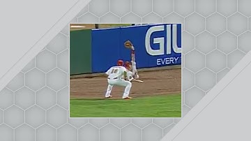 An Insane Home Run Robbery - You have to see an amazing home run robbery by Harriso