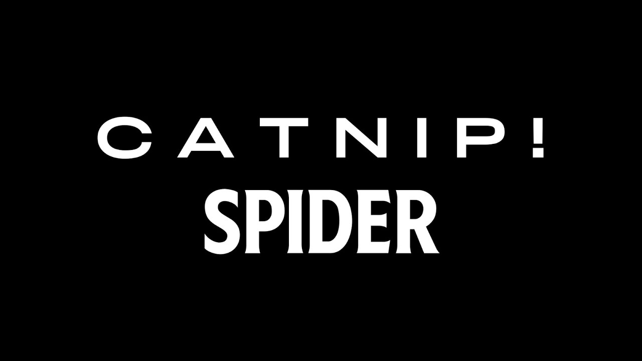 Watch Catnip! - Spider on YouTube Watch Catnip! - Spider on YouTube