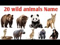 20 जंगली जानवरो के नाम हिंदी और इंग्लिश मे | Wild Animals Name in Hindi and English | Kids Learn