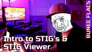 Intro to STIG's & STIG Viewer screenshot 4