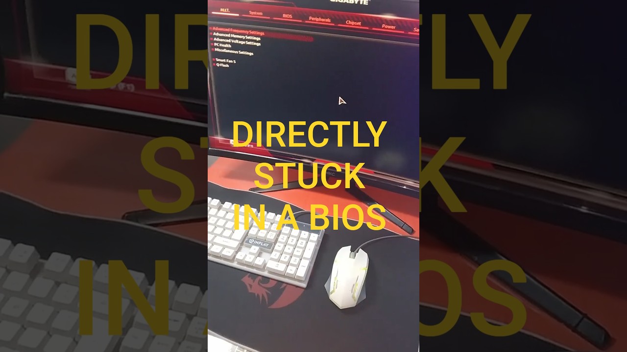 Как исправить ситуацию, когда компьютер зависает в настройках BIOS? 