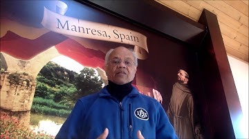 Father Michael Coutts S.J. - Mary Reflection for the Fourth Week of Advent