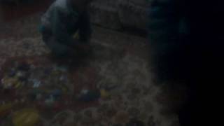 5 ноября 2016 г.