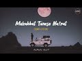 Muhabbat Tumse Nafrat Hai | Slowed & Reverb | Aesthetic Heart | #slowedandreverb #trending