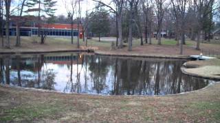 Tim Sprinkles Video Blog - Random Day