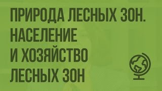 Природа лесных зон. Население и хозяйство лесных зон. Видеоурок по географии 8 класс