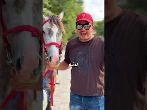 ما رح تصدق كيف الخيل بيعرف صاحبه صدمة