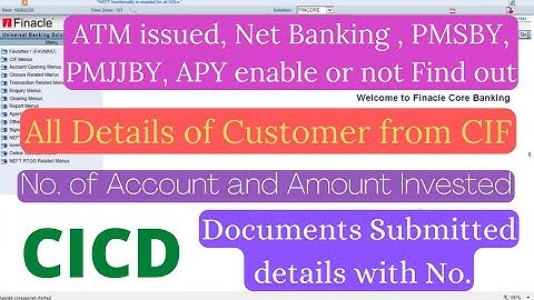 Find All Details of Customer by CIF | Customer details with CIF
