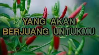 kartu ceki 🌞 PERJUANGAN CINTA UNTUKMU