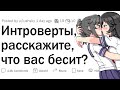 Что бесит интровертов?