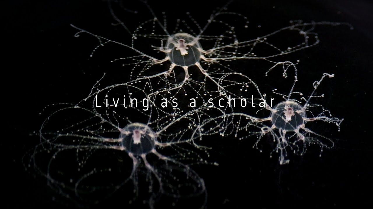 Living as a scholar (K.T.)