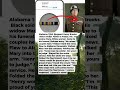 What Patton Did When a Black Soldier's White Wife Was Refused at the Funeral | Military History Talk