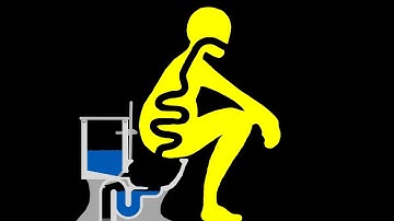 Algodoo | Toilet simulation