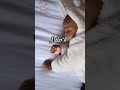 النوم عندحديثي الولادة كم ساعة ينام المولود حديثا المولود مولود جديد طفلي النوم عندحديثي الولادة كم ساعة ينام المولود حديثا المولود مولود جديد طفلي