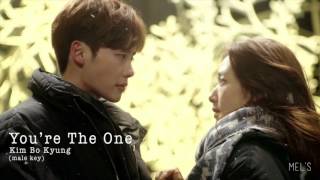 YOU'RE THE ONE - KIM BO KYUNG (ost. Pinocchio pt8 - male key)
