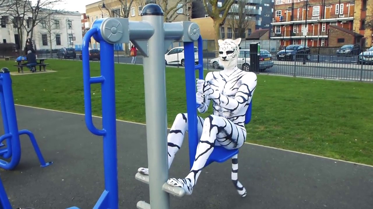 Big Cat Walk – Walkabout Animals | Tiger