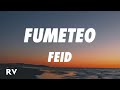 Feid Fumeteo Letra Lyrics mp3