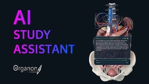 Revolutionizing Anatomy Learning with AI-Powered Assistance │3D Organon